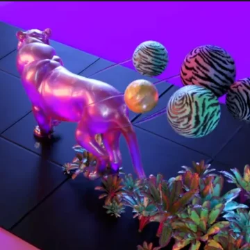 Bubble Gum