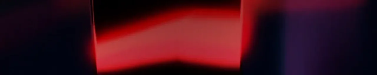 Antònia Massot header